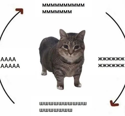 Кот и звуки вокруг