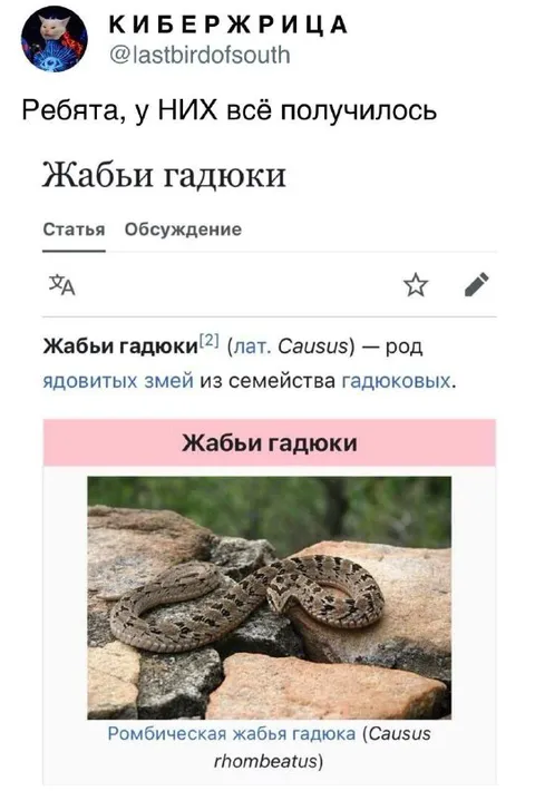 У них всё получилось