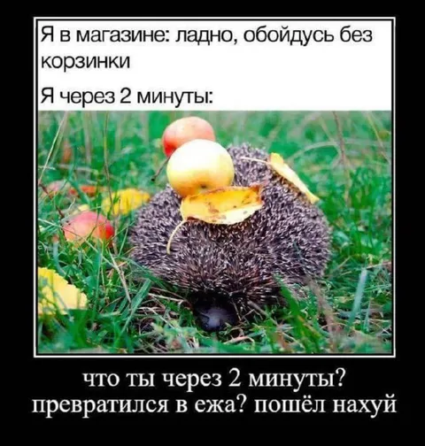 Обойдусь без корзинки