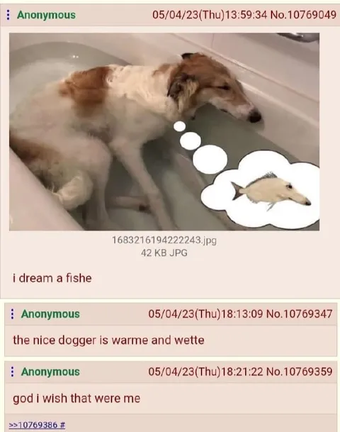 Dog Dreams of Being a Fish