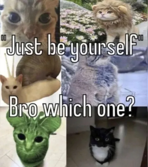 Bro Which One?