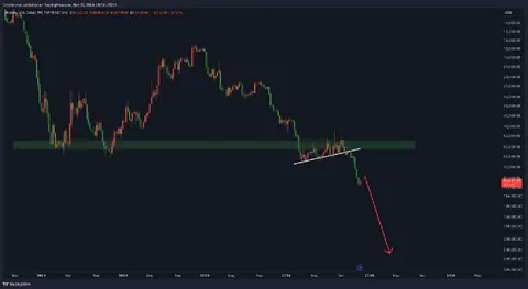 Bitcoin Crash Prediction Chart