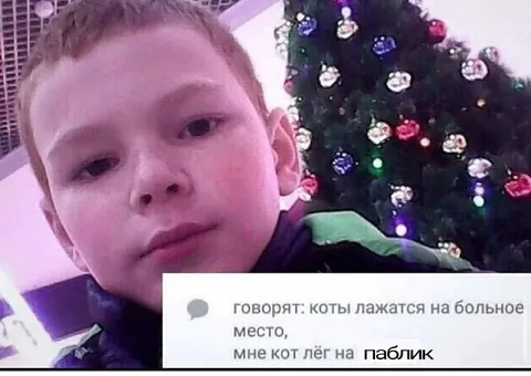 Кот лёг на паблик