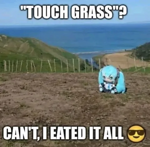 Touch Grass? I Ate It All