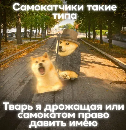 Самокатчики такие типа