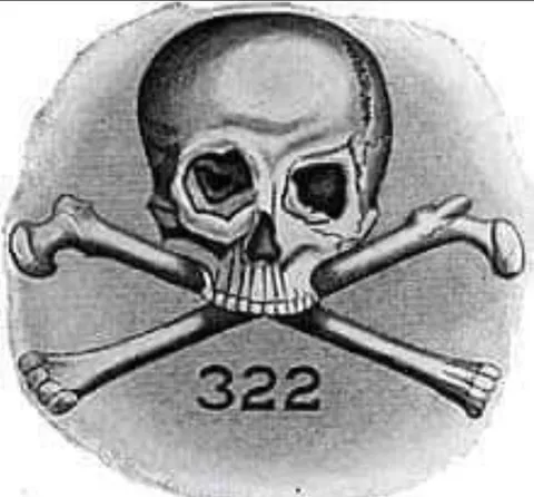 Череп с номером 322