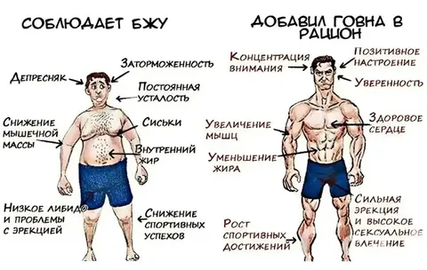 Добавил говна в рацион