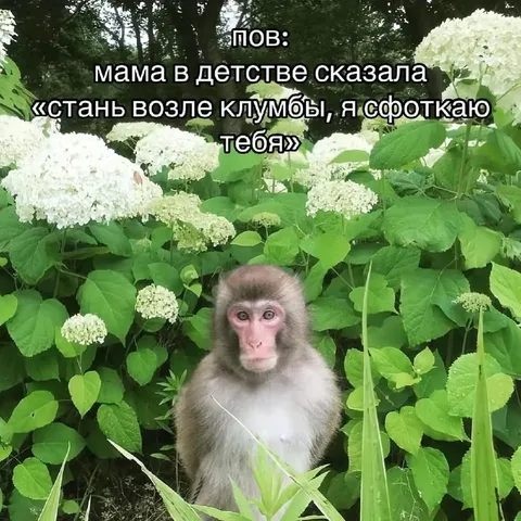 Мама попросила встать возле клумбы