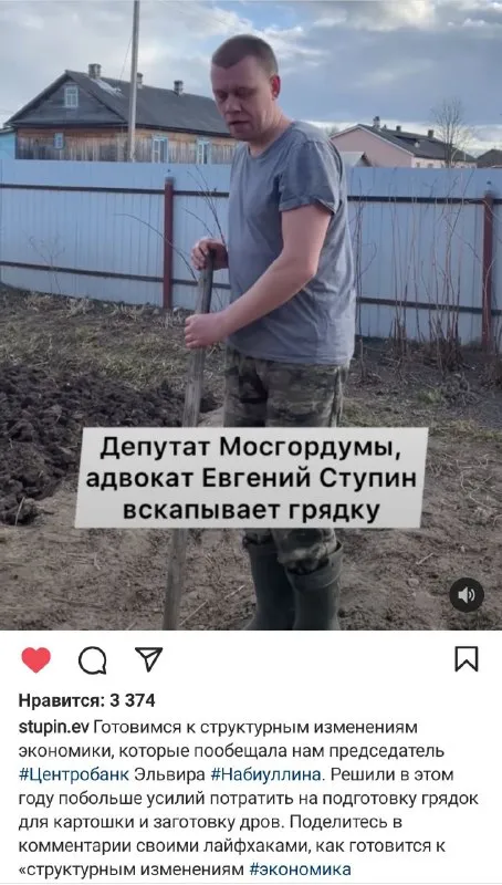 Депутат вскапывает грядку