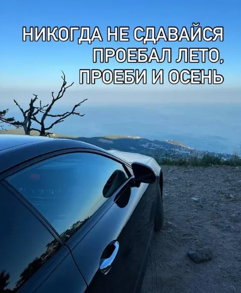 Никогда не сдавайся