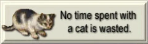 No Time With a Cat Is Wasted