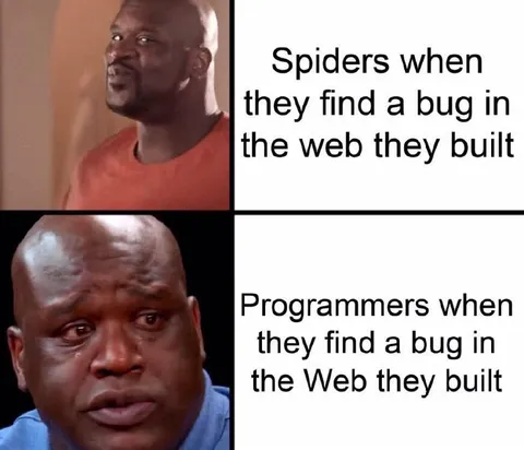 Spiders and Programmers Find Bugs