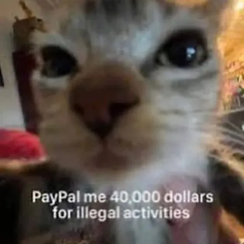 PayPal Me 40,000 Dollars