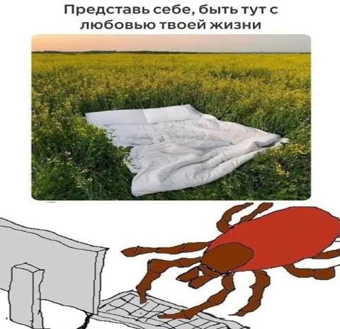 Любовь всей жизни в поле
