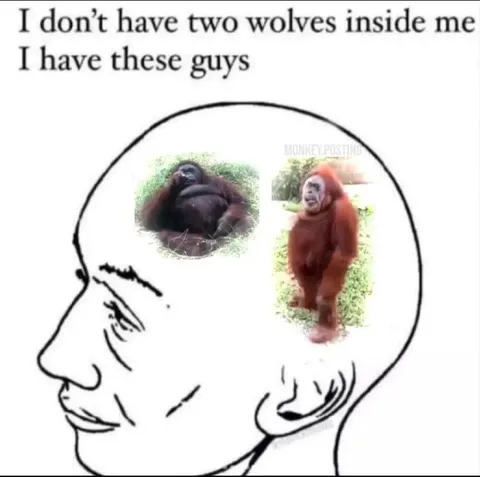 Two Orangutans Inside Me