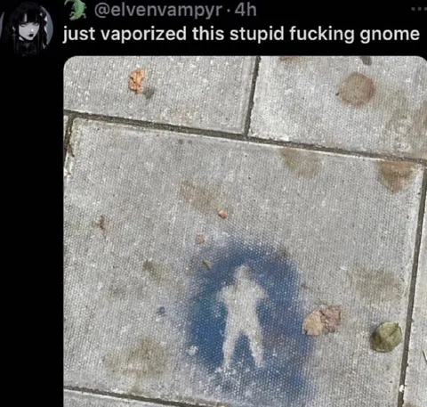 Vaporized the Stupid Gnome