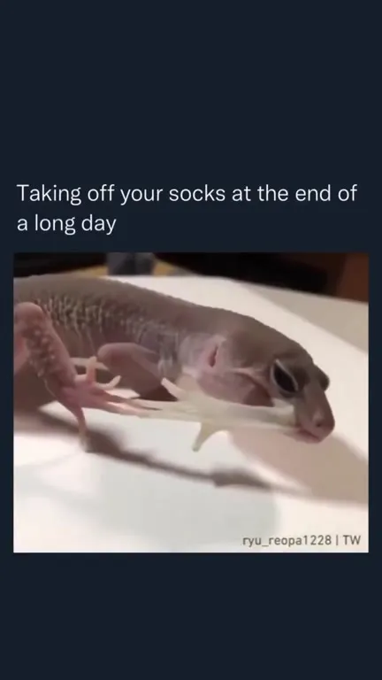 Taking Off Your Socks After a Long Day