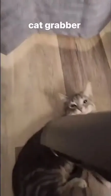 Cat Grabber Vacuum Massage