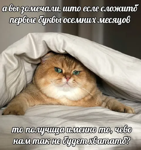 Первые буквы осенних месяцев