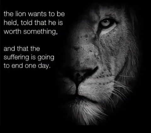 The Lion Needs Comfort