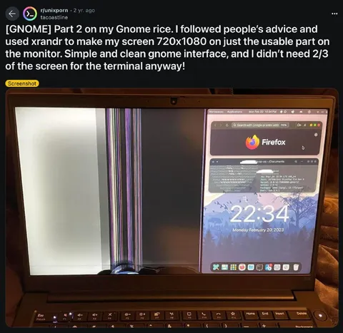 Gnome Rice on a Broken Screen
