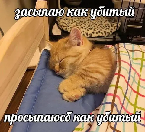 Засыпаю и просыпаюсь как убитый