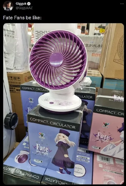 Fate Fans be like