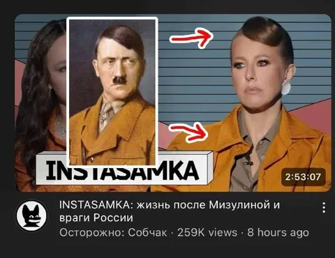 Инстасамка после Мизулиной