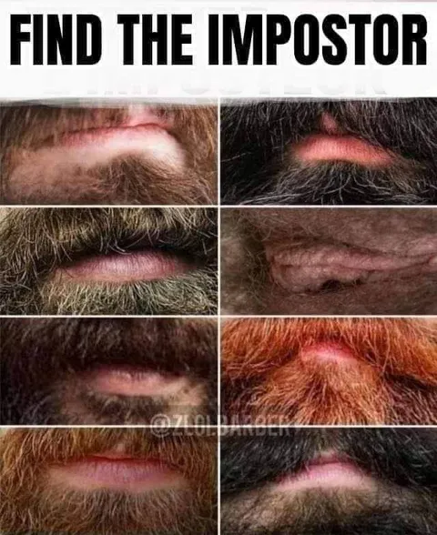 Find the Impostor Beard Puzzle
