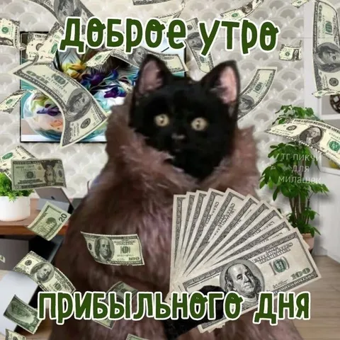 Доброе утро, прибыльного дня