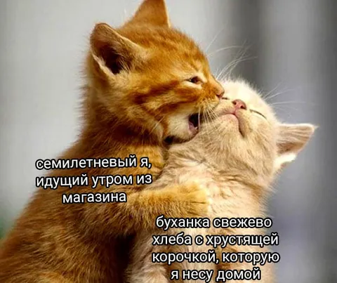 Семилетний несёт хлеб домой