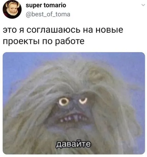 Соглашаюсь на новые проекты