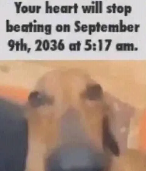 Your Heart Will Stop Beating