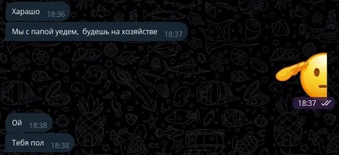 Мы с папой уедем