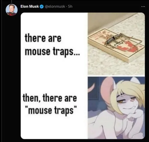 Mouse Traps and Mouse Trans