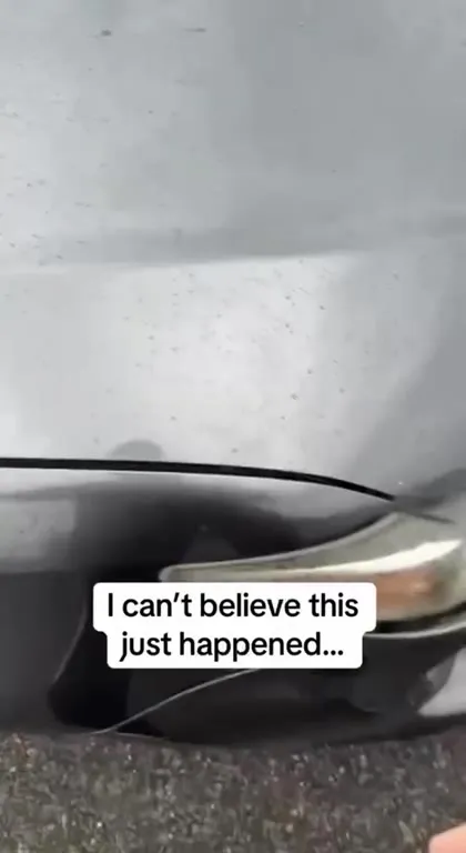 Press Hamster After Bumping Car