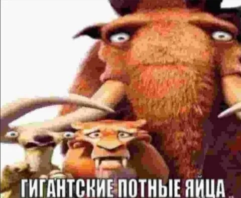 Гигантские потные яйца