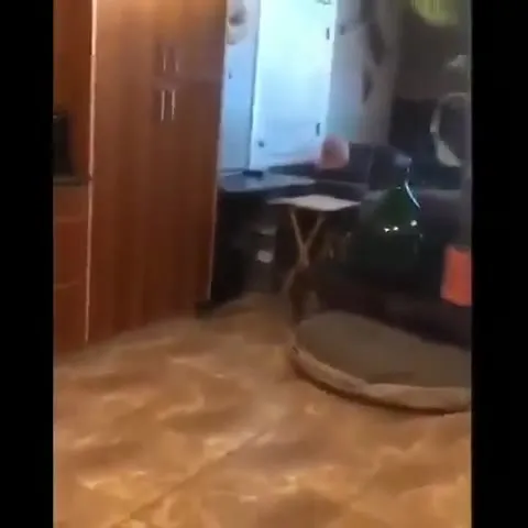 Мужчина с рогом на голове