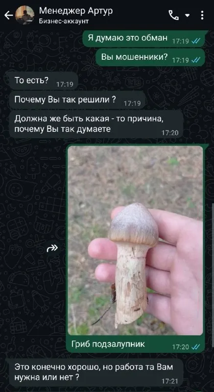 Гриб подзалупник против мошенников