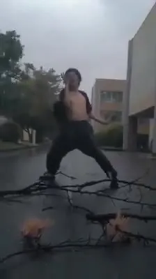 Танец под дождём на ветках