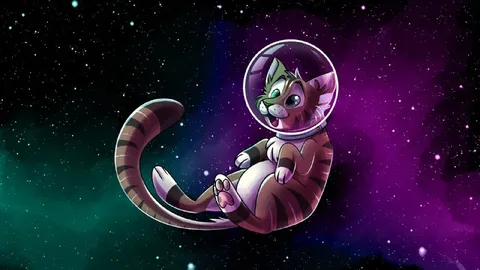 Кот в космическом полёте