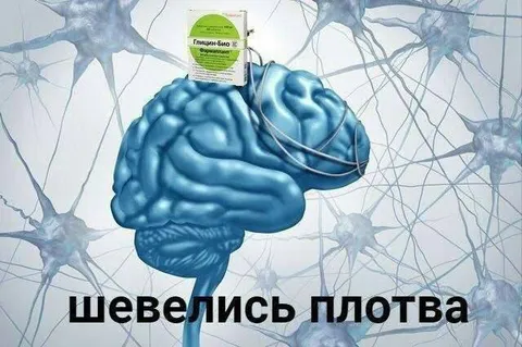 Шевелись, плотва