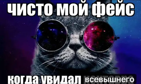 Кот увидел Всевышнего