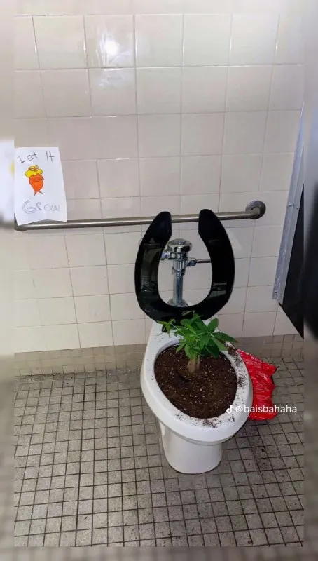Let It Grow Toilet Plant