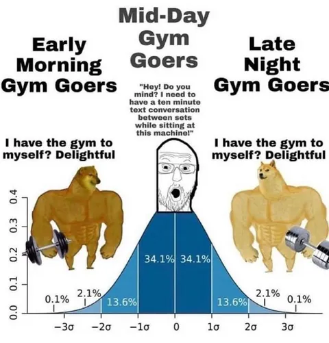 Gym Goers Bell Curve