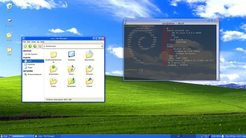 Debian Running on Windows XP