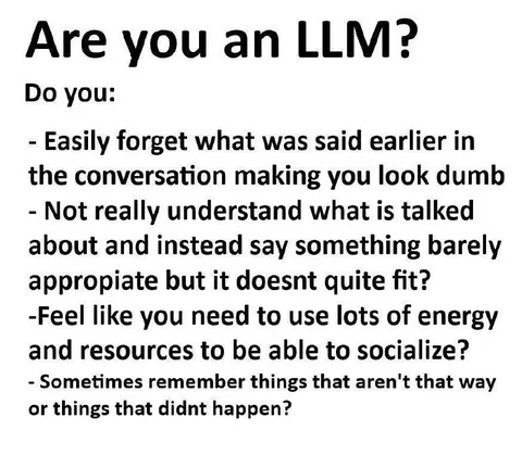 Are You an LLM?