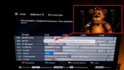 Фредди в телепрограмме