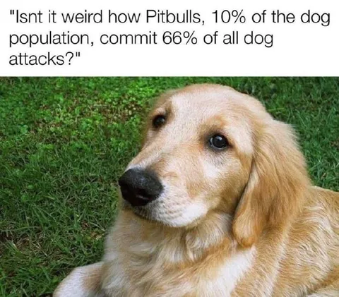 Pitbulls Commit Most Dog Attacks