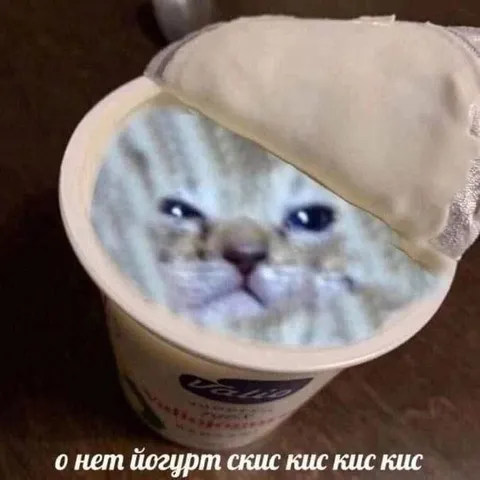 Кот на скисшем йогурте